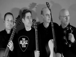 The Acouztix