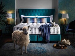 Slaaphof introduceert SOMNUS 2019