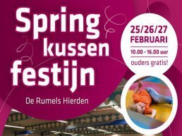 Springkussen Festijn in de Rumels