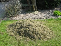 Gratis compost als dank voor uw GFT