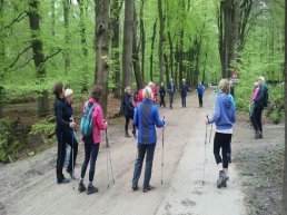 Starterscursus Nordic Walking