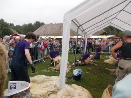 Schaapscheerdersfeest met muziek, wolkramen, klimparcours en Rad van Fortuin