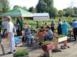Plantjesmarkt Rietmeen Harderwijk