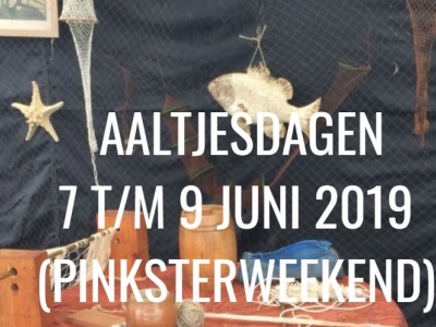 Aaltjesdagen Festival Harderwijk, 7 tot en met 9 juni:  Bruisend programma met muziek, sport, kunst en ambacht