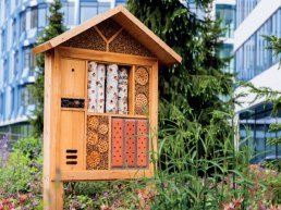 SIGHT Landscaping maakt de wereld graag mooier en groener