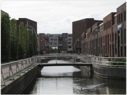 Blauwalgen aangetroffen in Triasgracht Drielanden Harderwijk