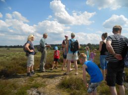 Avondzwerfwandeling over de Ermelosche Heide