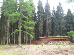 Wildarena de Witte Hoogt in het Speulderbos