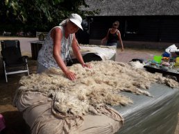 Dagworkshop vacht vilten