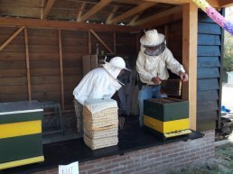 Open bijenstal