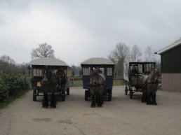 Staverdense huifkartocht