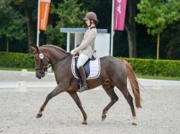 New Forest Sportdag