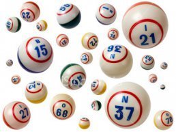 Bingo middag in de Aanleg Harderwijk