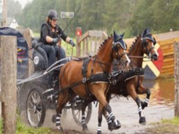 Indoor marathon Menvereniging Hierden