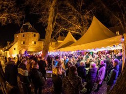 Artiesten Donkere Dagen Festival doen Blue Monday vergeten