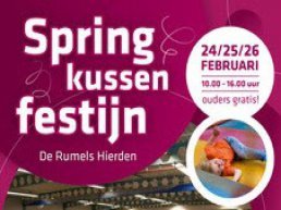 Springkussen Festijn in de Rumels Hierden