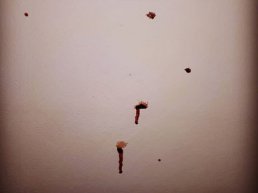 Bloedspetters op de muur na mishandeling