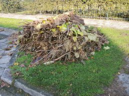 Gratis ophaalservice snoeihout, takken en blad op dinsdag 7 april en 12 mei