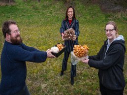 Eigenaren Mycophilia maken als één van de eersten gebruik van noodpakket coronacrisis