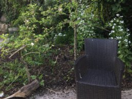 Tegels eruit, groen erin!