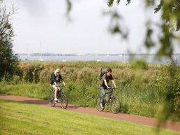 Milieuvriendelijke onkruidbestrijding in Harderwijk