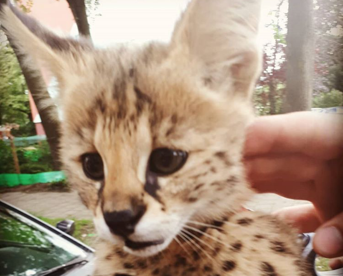 Afgelopen weekend kreeg de politie meldingen van ongeruste bewoners.