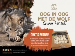 Oog in Oog met de Wolf ervaar het zelf!