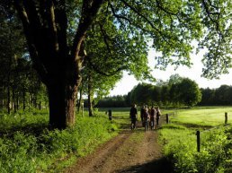 Wandeling op zoek naar wild in Leuvenum