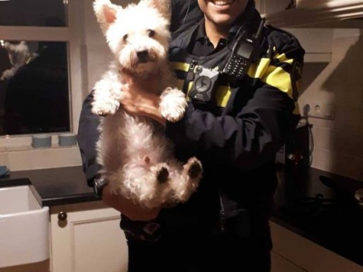 Hond Frodo zorgt voor aanhouding drie inbrekers in Harderwijk