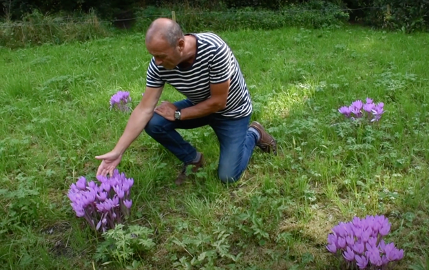 Herfst in de Harderwijkse Natuurtuin, Rien ontmoet een pad en meer 