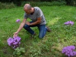 Herfst in de Harderwijkse Natuurtuin, Rien ontmoet een pad en meer