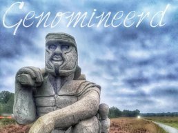 Politie Veluwe-West in de race voor Beste Politieteam van Nederland: 'Goede samenwerking met Harderwijk, Ermelo en Putten'