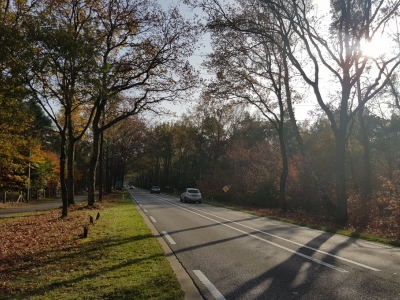 Bewoners Sonnevanck: Verlaag snelheid op Leuvenumseweg van 80 naar 60 km/per uur