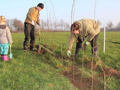 Bewoners Hierden planten streekeigen bomen en struiken