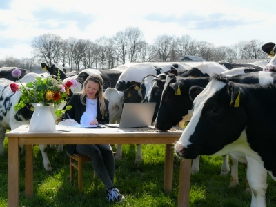 Nieuw(s) op de Veluwe!