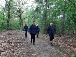 Zomerwandelingen met Athlos