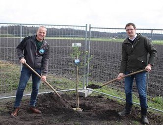 Boompje planten