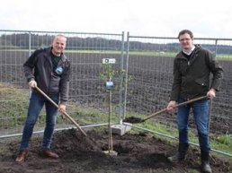 Boompje planten