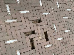 Souvenirjagers azen op haring bij Harderwijkse Vischpoort