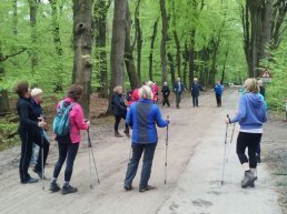 Cursus Nordic Walking