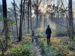 Veluwse wandeldagen 10, 11 en 12 februari 2022