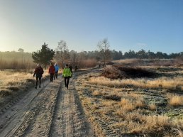 Zes zondagochtenden wandelen