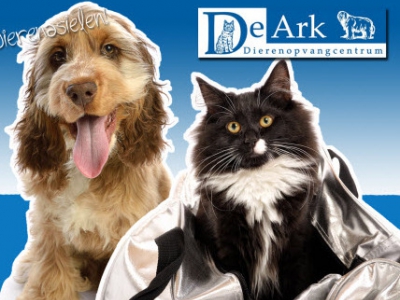 Dierencentrum De Ark waarschuwt: ‘Ent Oekraïense honden in tegen dodelijke hondsdolheid’