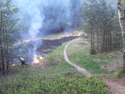 Hardloopgroep ontdekt brand aan de bosrand van het Stuifzandpad