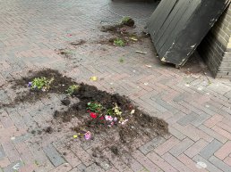 ‘Nieuwe generatie vandalen’ richt veel schade aan in binnenstad Harderwijk