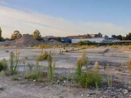 Harderwijk Anders wil klankbord woningzoekenden Weiburg