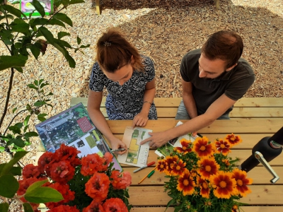 Nieuw tuinadvies helpt Harderwijkers gratis aan groenere tuin 