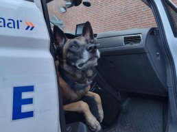 Drugsdeal waargenomen aan de Boerhaavelaan in Harderwijk