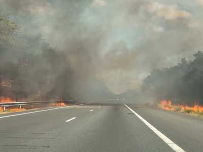 Grote bermbrand A28 tussen Harderwijk en Hierden, vuur overgeslagen naar natuurgebied Beekhuizerzand
