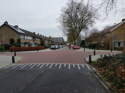 Bomen in Vondellaan gaan om 